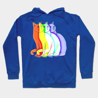 Rainbow Cat Art Hoodie